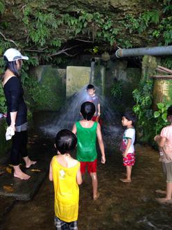 大山田芋畑に水を供給するガーで水浴び