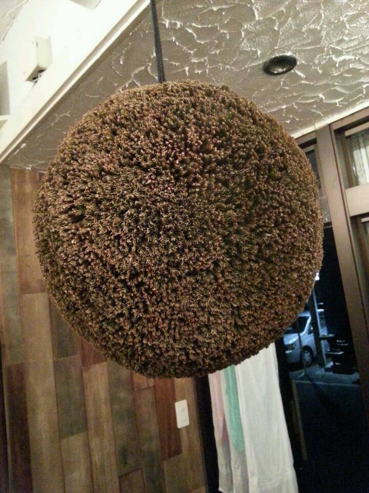 きち屋完成。