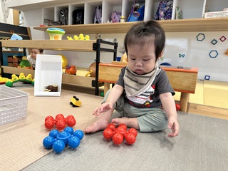 火曜日〜*ひよこ 火曜日〜*ひよこ