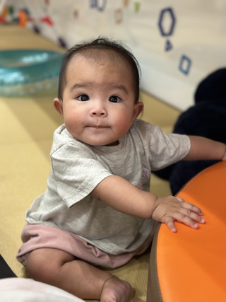 大雨前の涼しい散策〜*ひよこ 大雨前の涼しい散策〜*ひよこ