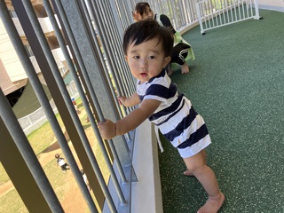 太陽サンサン月曜日☀︎ひよこ 太陽サンサン月曜日☀︎ひよこ
