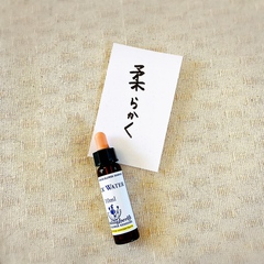 明けましておめでとう♪…2022 明けましておめでとう♪…2022
