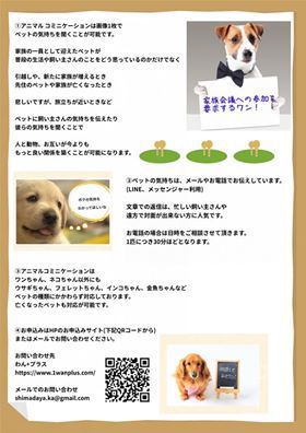 第4回きゅんきらフェス出展者紹介vol33 第4回きゅんきらフェス出展者紹介vol33