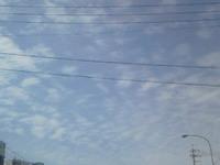 昨日、あんなに大雨だったのに(・・;) 2008/06/04 15:20:40