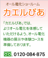 オール電化ショールーム　カエルぴあ