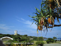 笠石海浜公園和泊町キャンプ場 2006/07/12 06:54:00