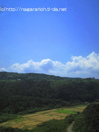 日本一早いコシヒカリの風景 2006/08/07 22:12:16