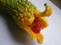 ゴーヤの赤い種 2010/07/21 12:27:00