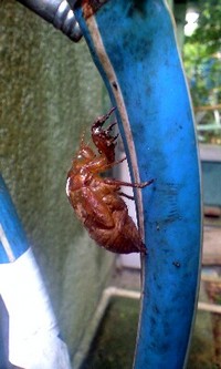 いやぁ~安心あんしん!