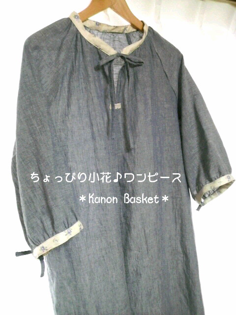 2010年01月28日