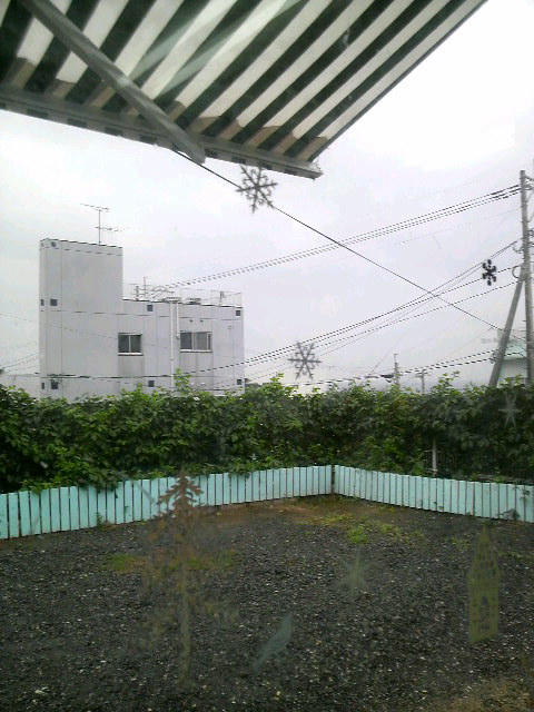 2010年02月06日