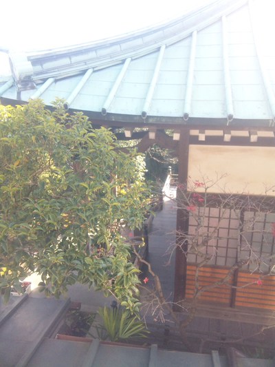 帰省