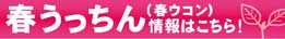 春ウコン