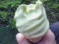 旅の終わり