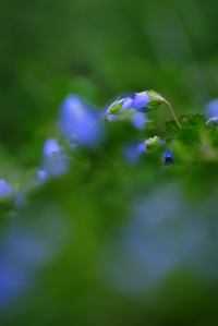 ツーユ？( ・◇・)?(・◇・ ) 2008/06/08 23:51:05