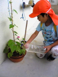 おはよ(*^-^)♪ 2008/05/20 03:09:04