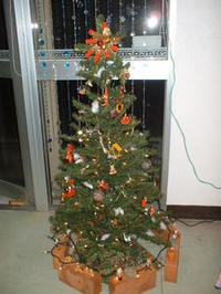 クリスマスツリー♪ 2006/11/22 13:46:27