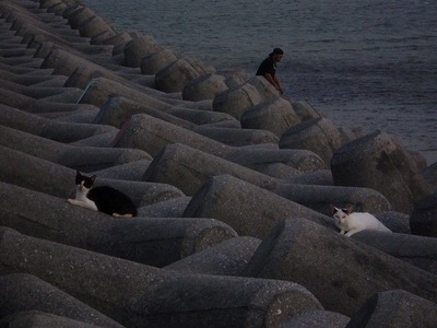 夕方の釣行!