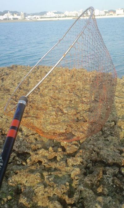 水中に引きずり込まれる
