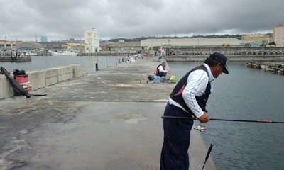 海辺の清掃活動