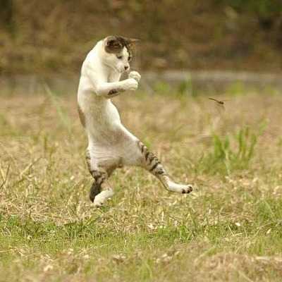 フットワーク!