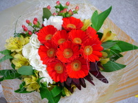 花太郎 kentaroの喜ぶあなたの顔が好きだから