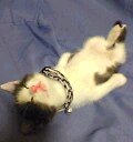 くびなじゃ〜