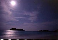 静寂の中で 2008/07/23 07:27:36