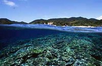 海に浮かんで… 2008/08/16 13:35:57
