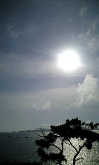 太陽の国 2008/08/10 18:07:19