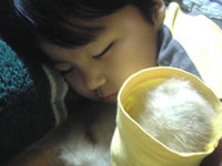 2009年04月29日