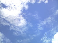 2009年06月28日
