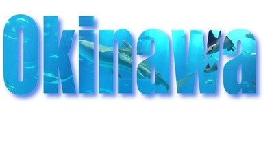 Okinawaロゴ