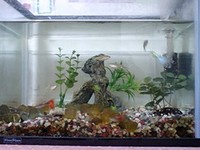 そうじ屋対決