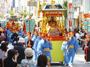 週末のシャイの行動報告