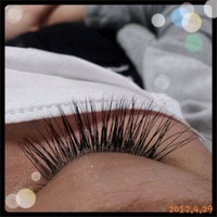 【今日は・・・】 2012/04/29 18:29:38