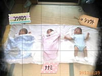 【珍しい光景】 2012/04/23 17:11:38