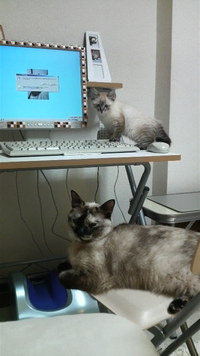 PCの調子が悪いです(@_@) 2008/07/15 22:14:43