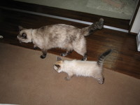 ホッとひと安心☆ 2008/07/07 09:41:39