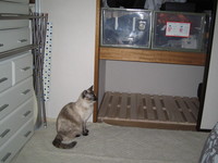 ど・ど・どうしよう・・・ 2008/04/21 08:56:00