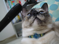 Happy　Birthday！！パル☆ 2008/08/12 08:06:00