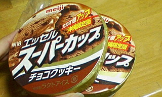 ChooChoo catペンケース