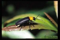 ■佐藤正孝先生ご逝去 2006/08/09 18:41:28