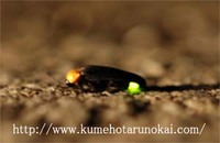 足下にご注意ください！ 2006/05/02 19:49:33
