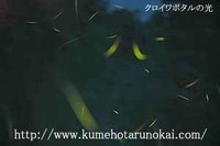 ５月１日　ホタル発生状況 2006/05/02 08:24:00