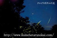 ５月２日　ホタル発生状況 2006/05/03 08:16:00