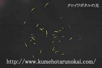 ５月３日　ホタル発生情報 2006/05/04 21:58:31