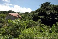 夏のホタル館で大いに遊ぼう！！ 2006/07/31 22:26:00
