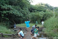 夏のホタル館・自然体験プログラム開催！ 2007/07/09 00:22:35