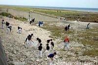 熱帯魚の家・清掃活動報告！ 2007/03/26 17:54:00